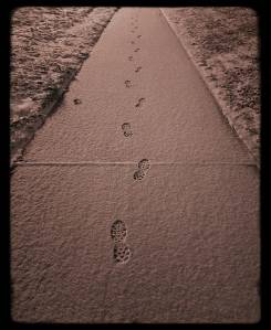 Kanorado Freezeframe